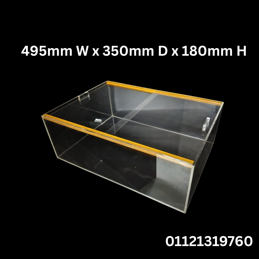 Anti Leaking Acrylic Fruit Juice Box