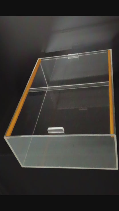 Anti Leaking Acrylic Fruit Juice Box